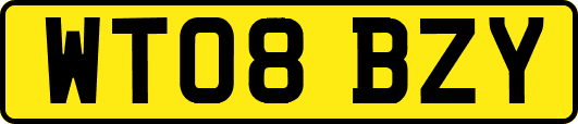 WT08BZY