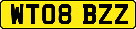 WT08BZZ