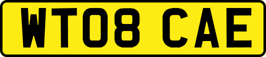 WT08CAE