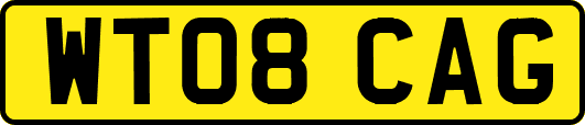 WT08CAG