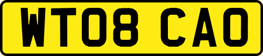 WT08CAO