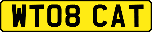 WT08CAT