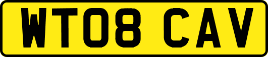 WT08CAV