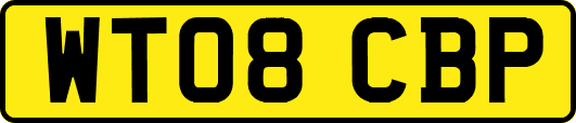 WT08CBP