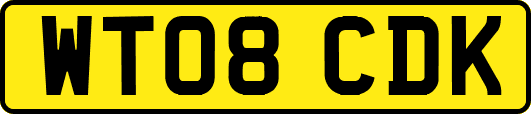WT08CDK