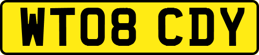 WT08CDY