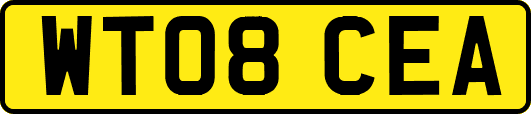 WT08CEA