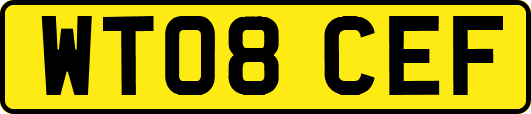 WT08CEF