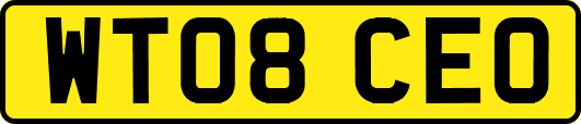 WT08CEO