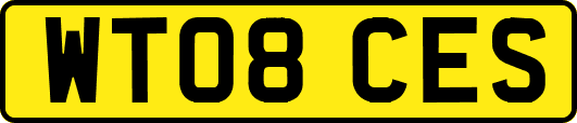 WT08CES