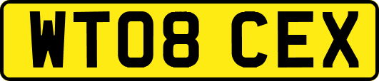 WT08CEX