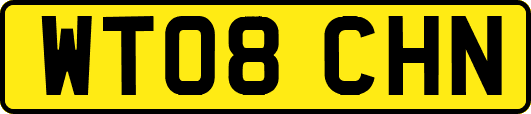 WT08CHN
