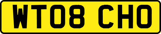 WT08CHO