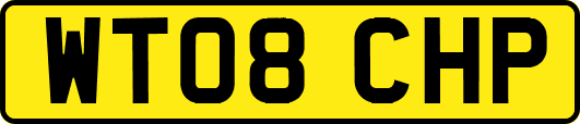 WT08CHP
