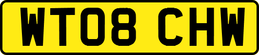 WT08CHW