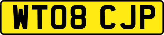 WT08CJP