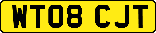 WT08CJT