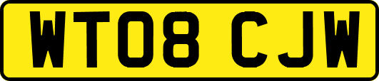 WT08CJW