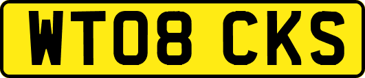 WT08CKS