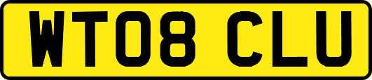 WT08CLU