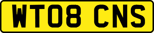 WT08CNS