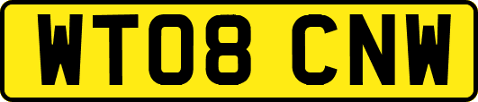 WT08CNW