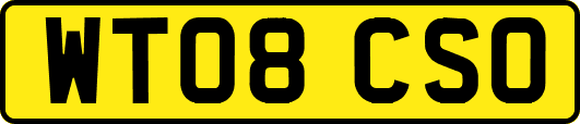 WT08CSO