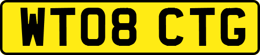 WT08CTG