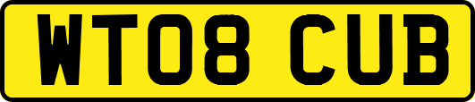 WT08CUB