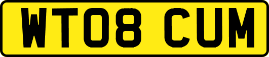 WT08CUM
