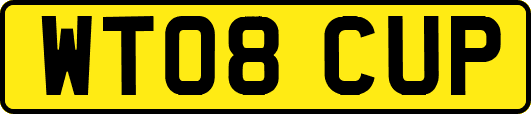 WT08CUP