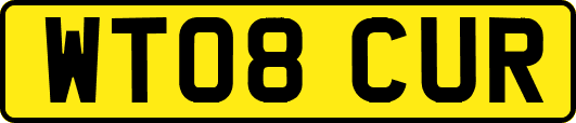 WT08CUR
