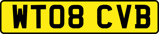 WT08CVB