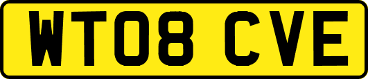 WT08CVE