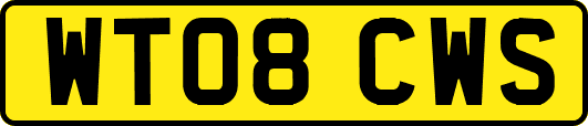 WT08CWS