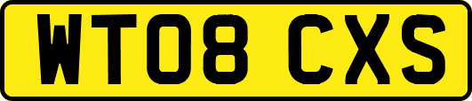 WT08CXS