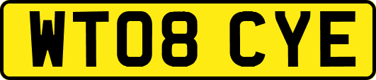 WT08CYE