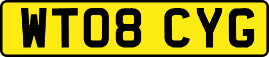 WT08CYG