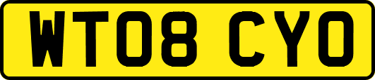 WT08CYO