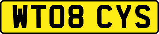 WT08CYS
