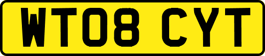 WT08CYT