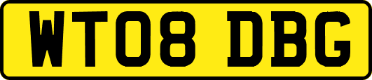 WT08DBG