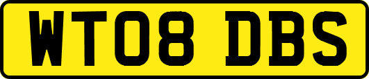 WT08DBS