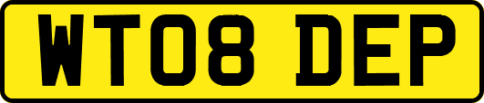 WT08DEP