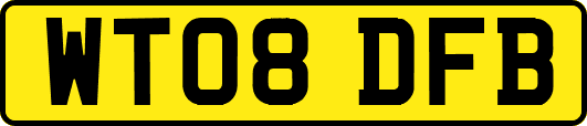WT08DFB