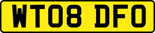 WT08DFO