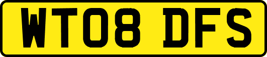 WT08DFS