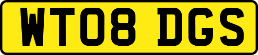 WT08DGS