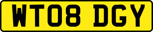 WT08DGY