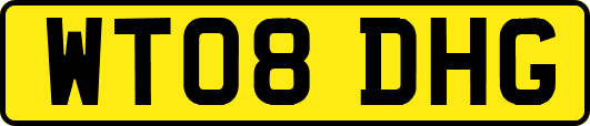 WT08DHG